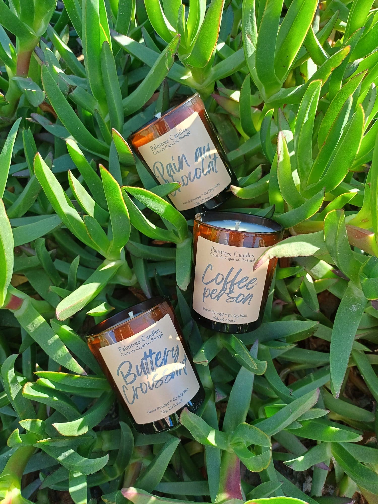 Palmtree Candle Studio thumbnail